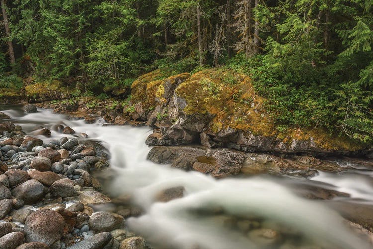 Tye River by Louis Ruth wall art