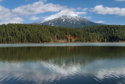 Willow Lake by Louis Ruth canvas print