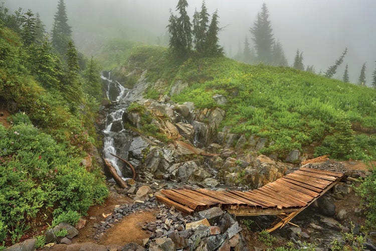 Broken Bridge Into A Misty World