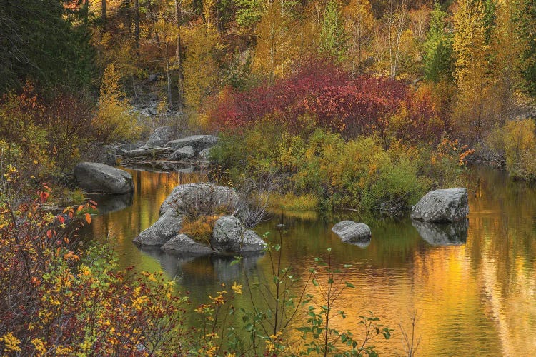 Autumn Colors On The Wenatchee River by Louis Ruth wall art