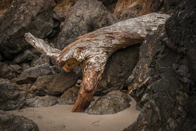 Minimalistic by Louis Ruth multi panel art