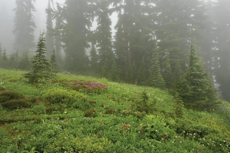 Misty Meadows by Louis Ruth wall art