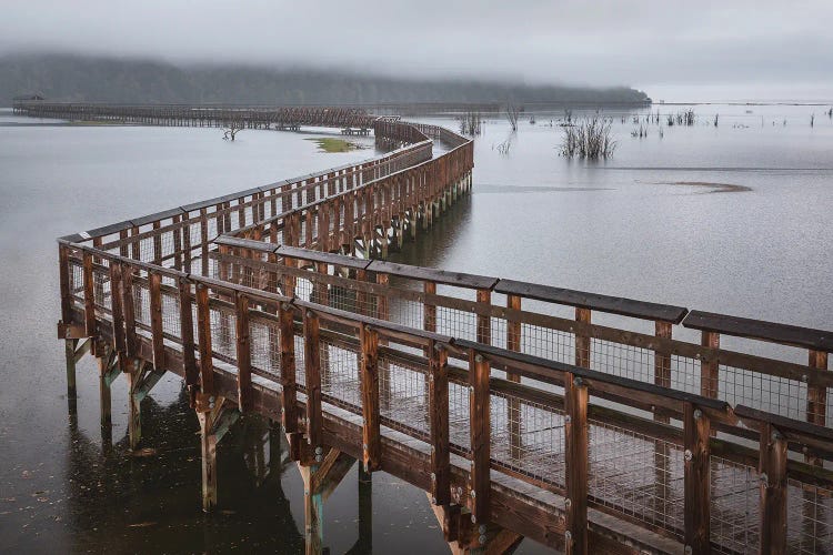 Nisqually Estuary Boardwalk Trail