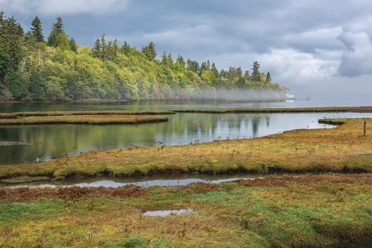 Nisqually National Wildlife by Louis Ruth wall art