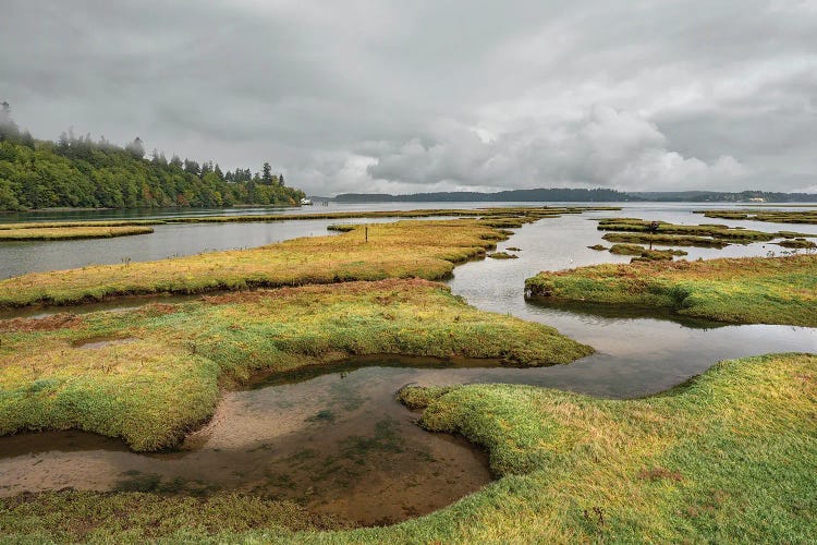 Nisqually National Wildlife Low Tide by Louis Ruth wall art