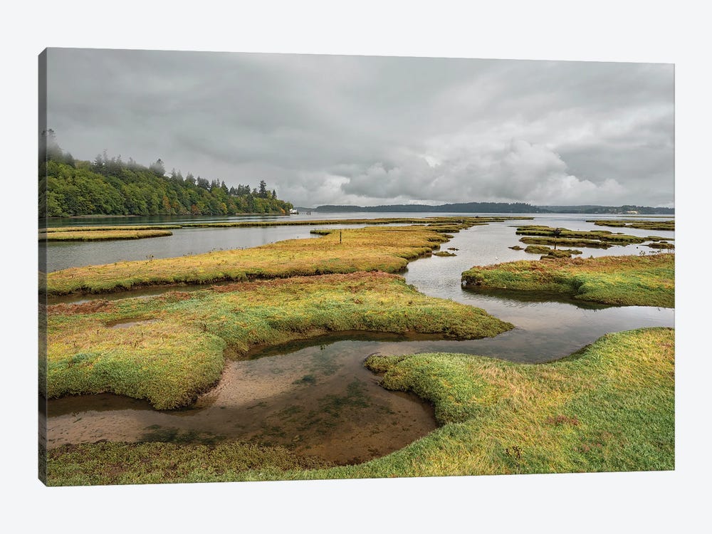 Nisqually National Wildlife Low Tide by Louis Ruth 1-piece Canvas Wall Art