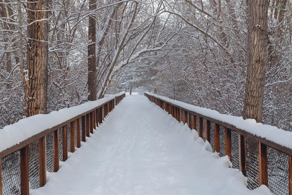 Louis Ruth: Bridge The Gap, We Are All Equal by Louis Ruth