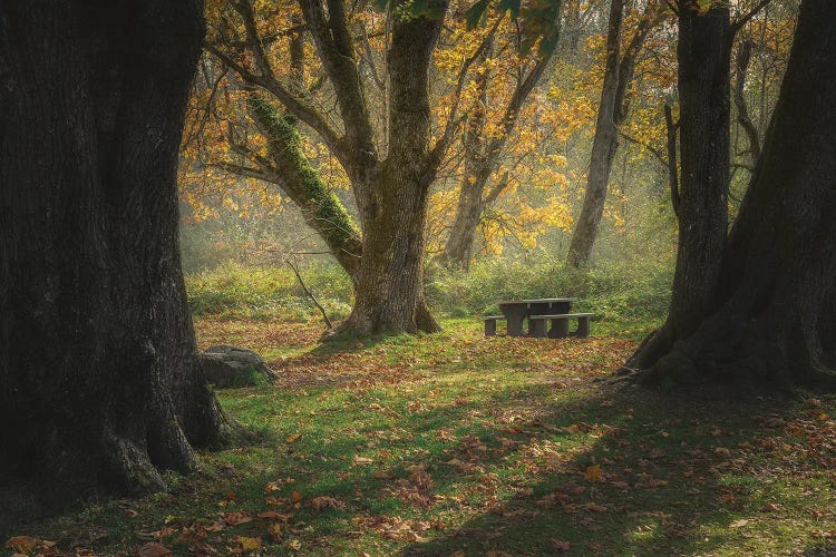 Picnic Time