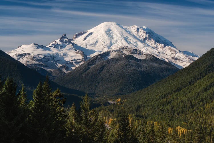 Rainier Vista View