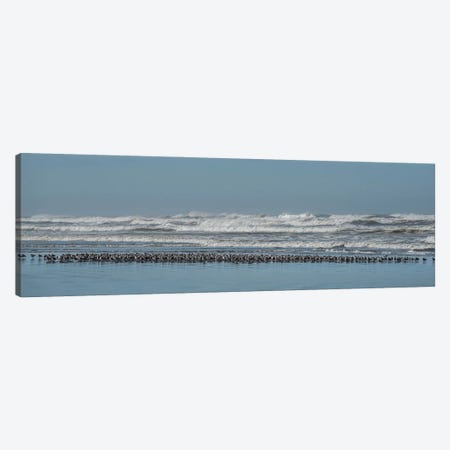 Sand Pipers In A Row Canvas Print #LRH163} by Louis Ruth Canvas Art