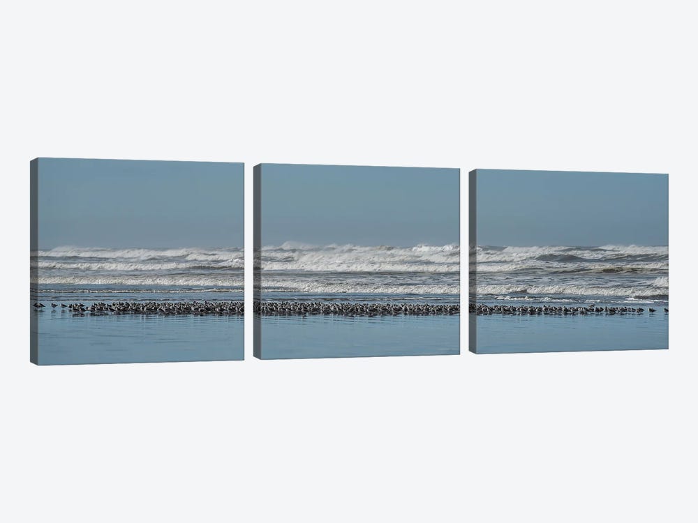 Sand Pipers In A Row by Louis Ruth 3-piece Canvas Art