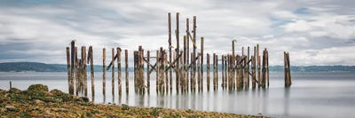 The Pilings Appear by Louis Ruth multi panel art