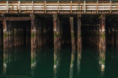 Weight-Bearing by Louis Ruth canvas print
