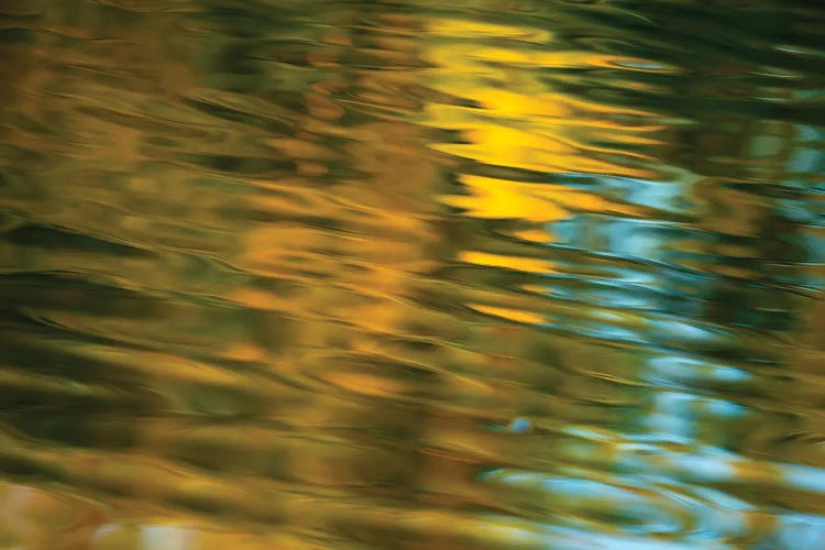 Golden Hues Water Abstract