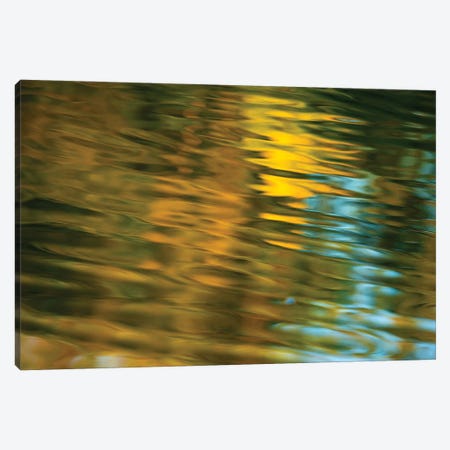 Golden Hues Water Abstract Canvas Print #LRH231} by Louis Ruth Canvas Wall Art