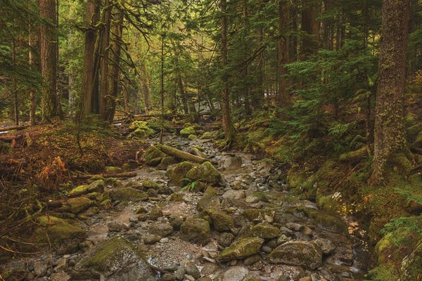 Louis Ruth: Deception Creek by Louis Ruth