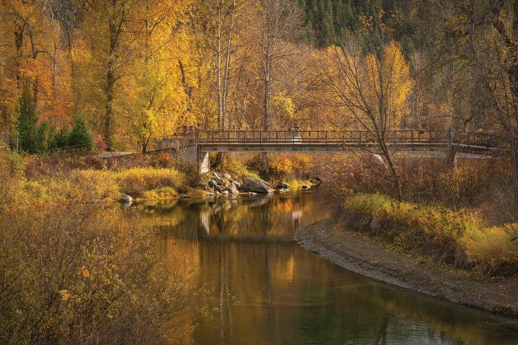Autumn Gold by Louis Ruth wall art