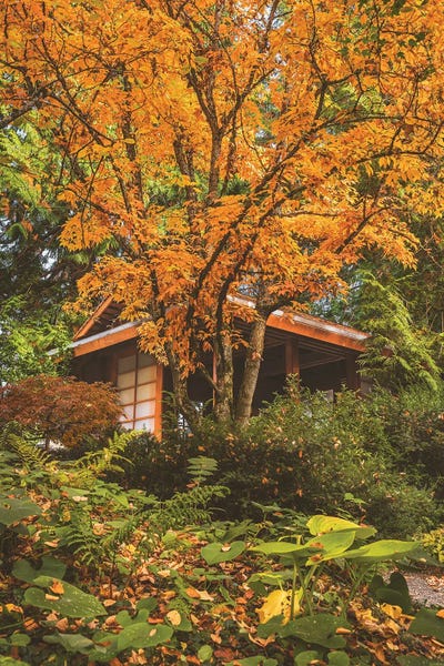 Tea House by Louis Ruth canvas print