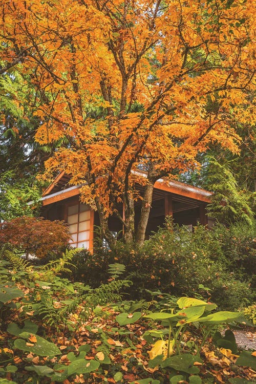 Tea House by Louis Ruth wall art
