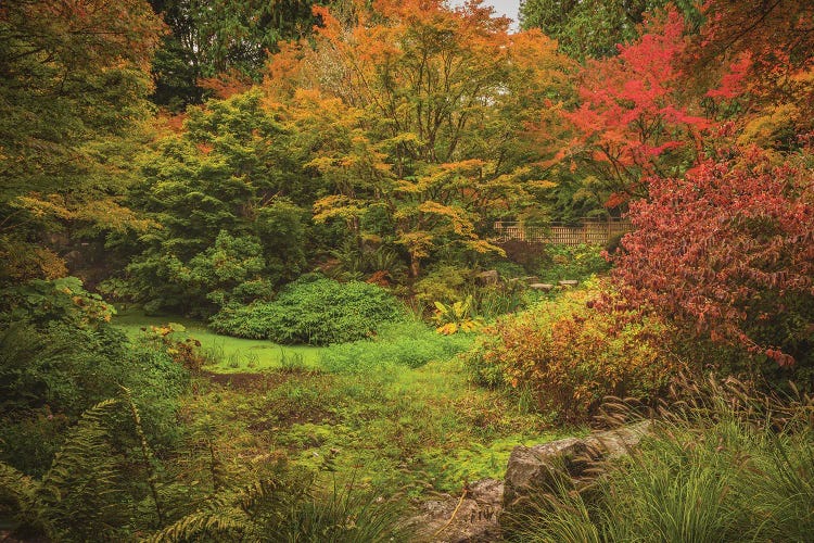 Autumn Colors