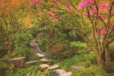 Step Into Autumn by Louis Ruth canvas print