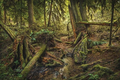 Lost In Time by Louis Ruth canvas print