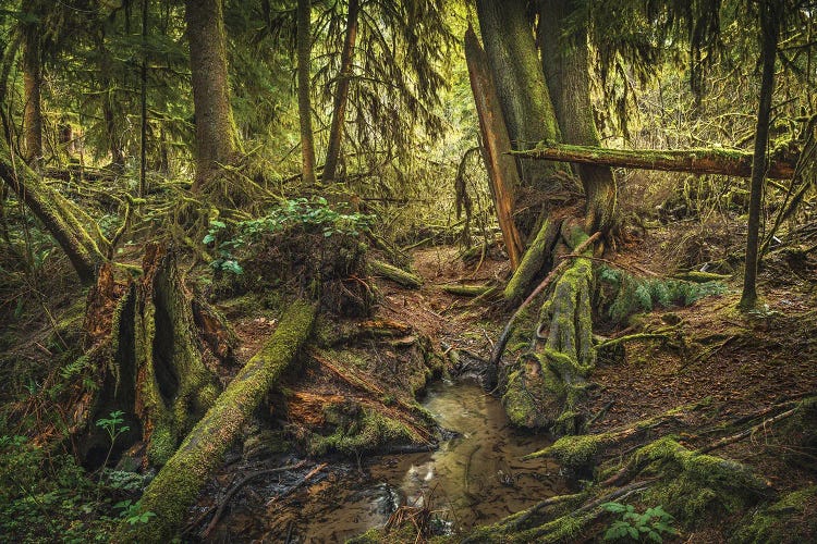 Lost In Time by Louis Ruth wall art