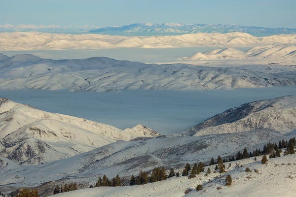 Louis Ruth: Dream State by Louis Ruth