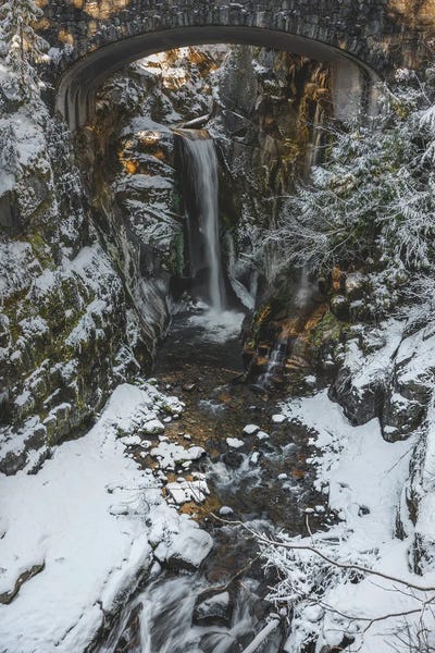 Pine Trees: Christine Falls Winter 2020 by Louis Ruth