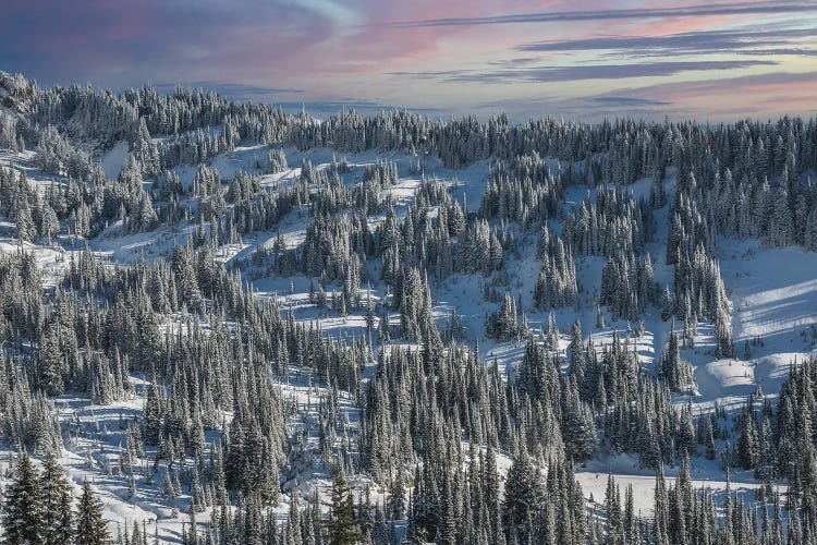 Winter In Paradise Valley Mt Rainier by Louis Ruth wall art