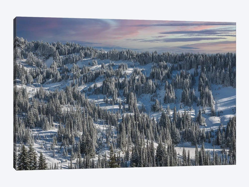Winter In Paradise Valley Mt Rainier by Louis Ruth 1-piece Canvas Art