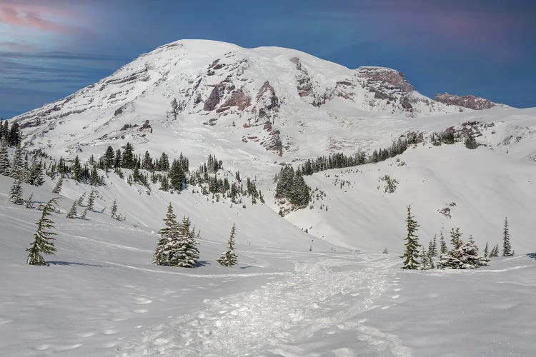On The Trails At Mt Rainier