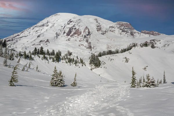 Louis Ruth: On The Trails At Mt Rainier by Louis Ruth