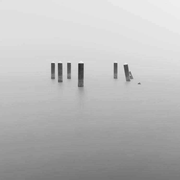 In The Fog