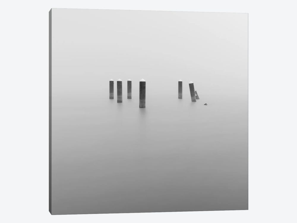 In The Fog by Louis Ruth 1-piece Canvas Wall Art