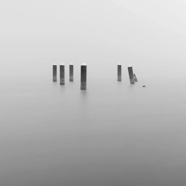In The Fog