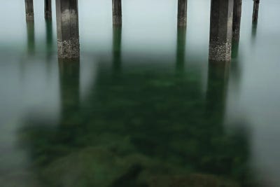 Simple Green by Louis Ruth canvas print