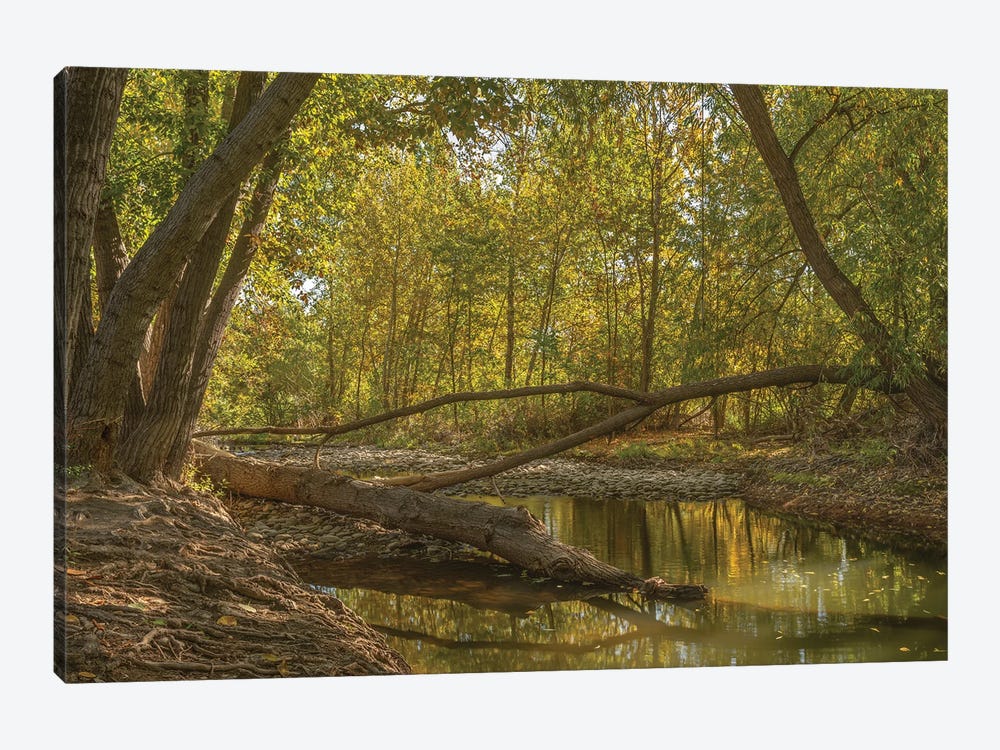 A Peaceful Place by Louis Ruth 1-piece Canvas Wall Art