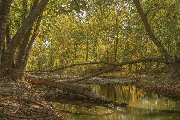 Louis Ruth: A Peaceful Place by Louis Ruth