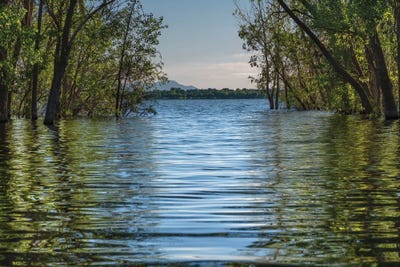 A Spring Morning At Lake Lowell by Louis Ruth canvas print