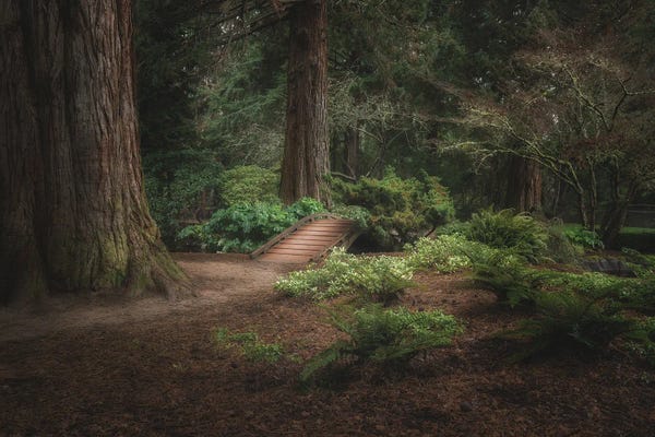 Louis Ruth: A Little Peace And Quiet 2021 by Louis Ruth