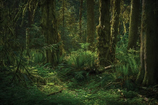 Louis Ruth: Feel The Sun’s Blessing by Louis Ruth