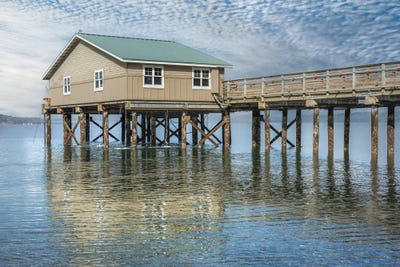 Ripples by Louis Ruth multi panel art