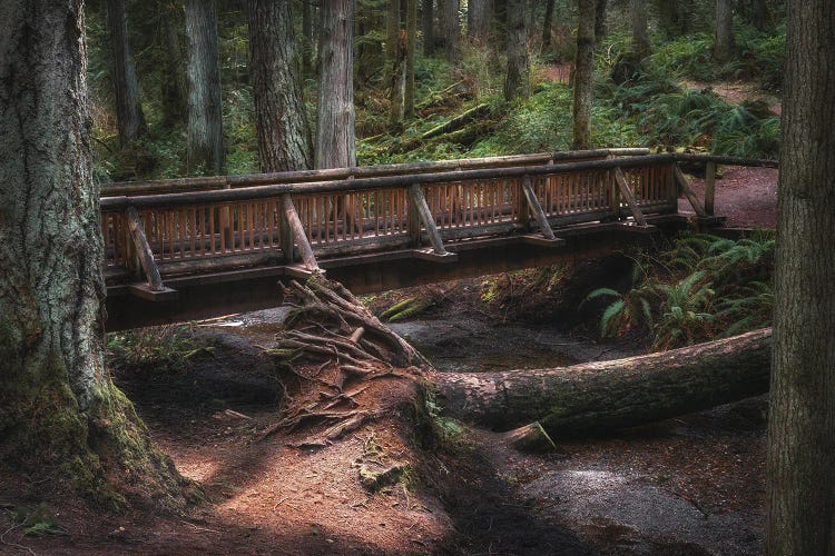 A Walk In Through Nature