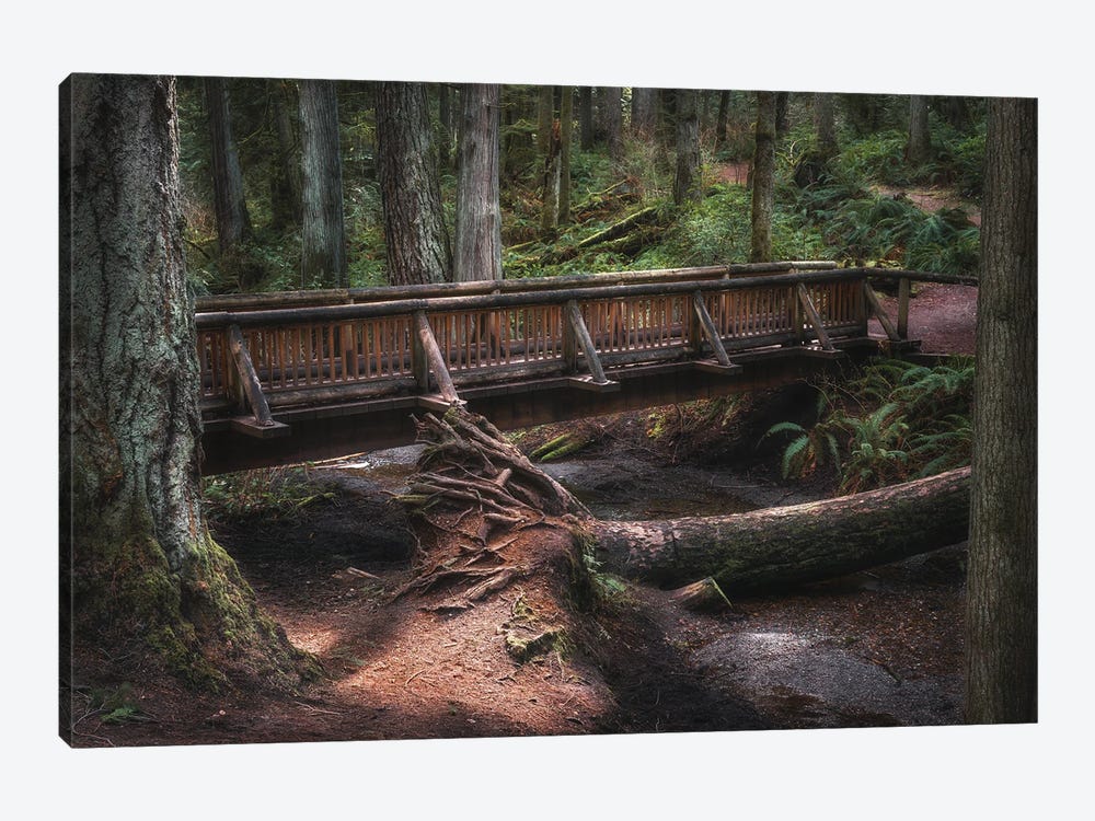 A Walk In Through Nature by Louis Ruth 1-piece Canvas Print