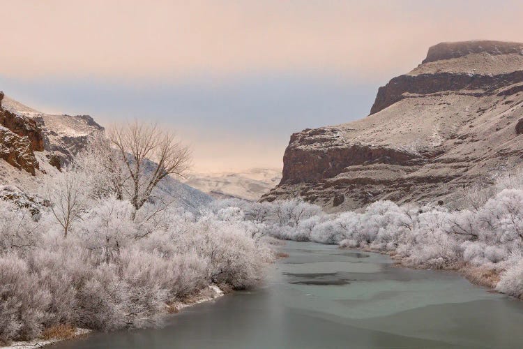 Frozen Owyhee's