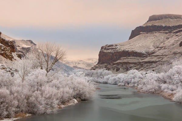 Frozen Owyhee's