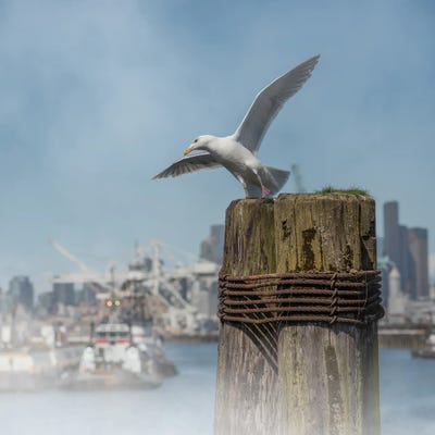 Feeling A Bit Tipsy by Louis Ruth canvas print