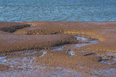 Impressions by Louis Ruth canvas print