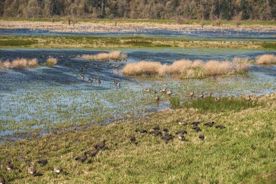 Don't Get Out Of Line by Louis Ruth framed canvas print